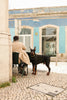 Wondering People_Lisboa Dog_5