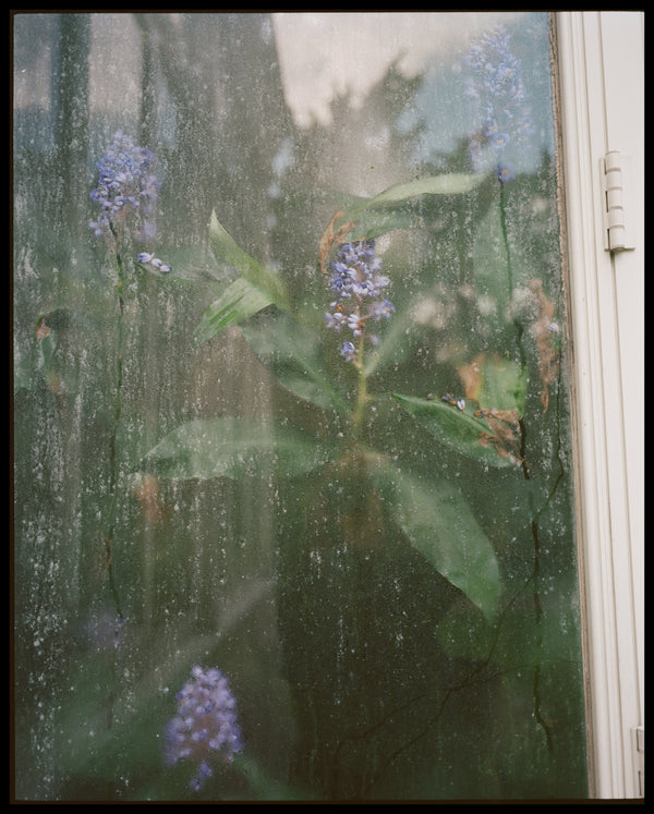 Wondering People_New York Greenhouse_3