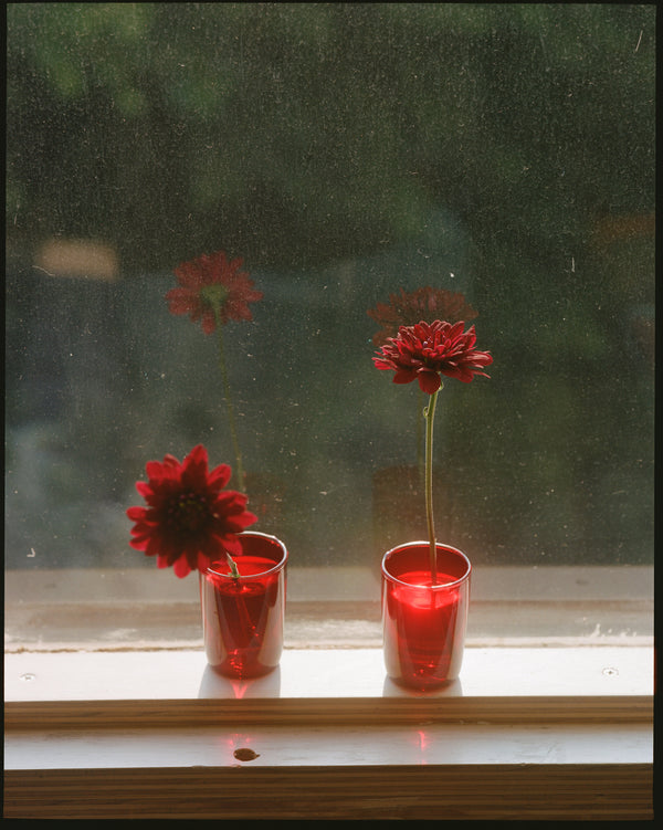 Wondering People_Mexico City_14