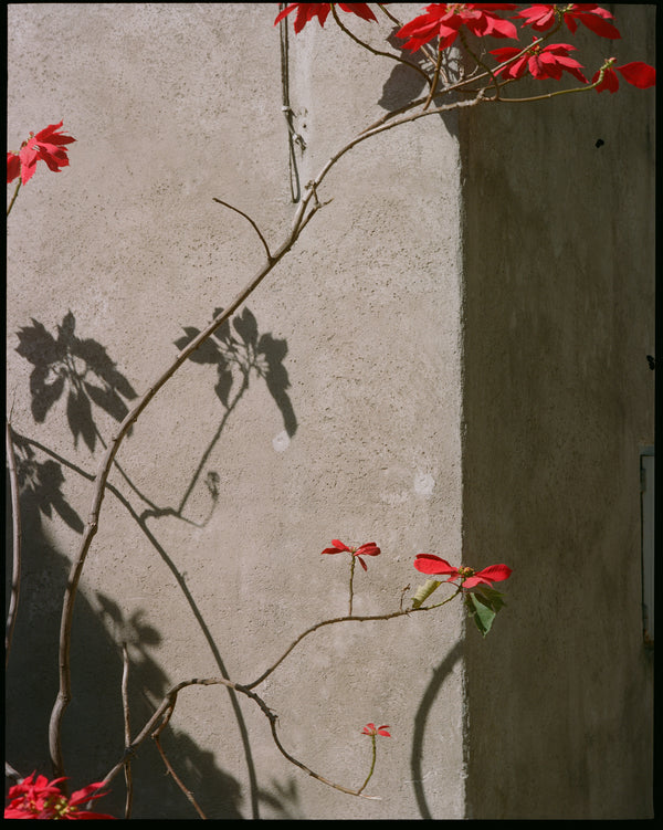 Wondering People_Mexico City III_13