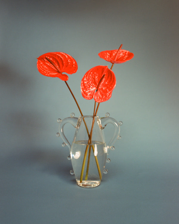 Wondering People_La Vitalite_6