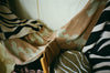 Wondering People_Timeless_4