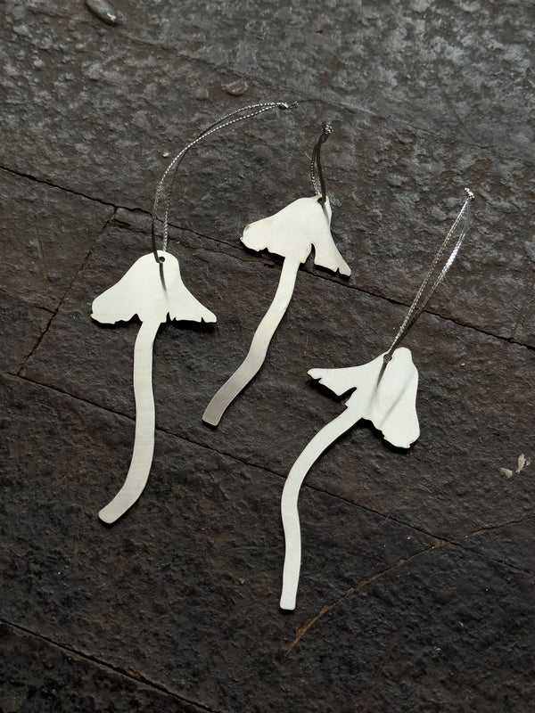 Wondering People_Mushrooms_7