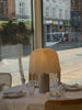 Wondering People_The Feather Table Lamp_4