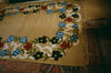 Wondering People_Charm, Tonic, Armour_5