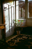 Wondering People_Circle Prance_2
