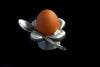 Wondering People_Petal Egg Holder_2