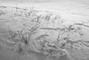 Wondering People_A Harsh Winter_18