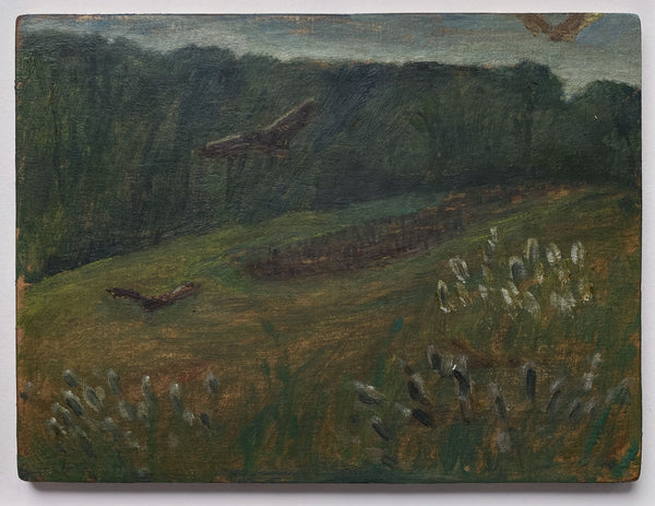 Wondering People_Hawks Circling_1