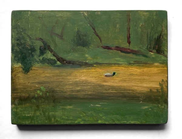 Wondering People_Mallard Riding the Current_8