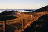Wondering People_Colonsay Sundowner_1