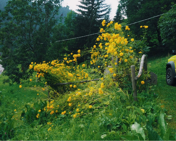Wondering People_Untitled, Selva di Cadore_45