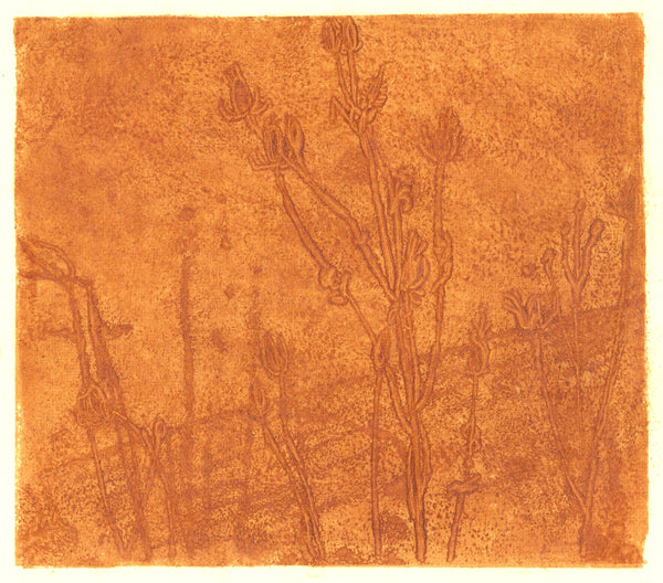 Wondering People_Golden Teasels_3