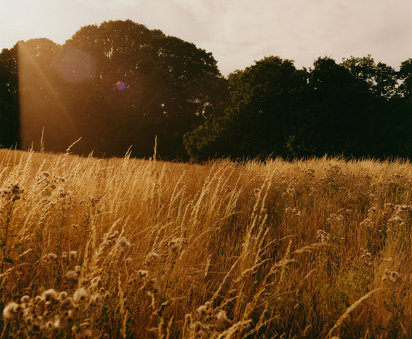 Wondering People_Heath I_9