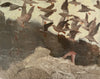 Wondering People_Over My Sea_947