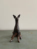 Wondering People_Rustic Seated Hound_5