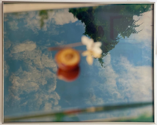 Wondering People_An Apricot_1