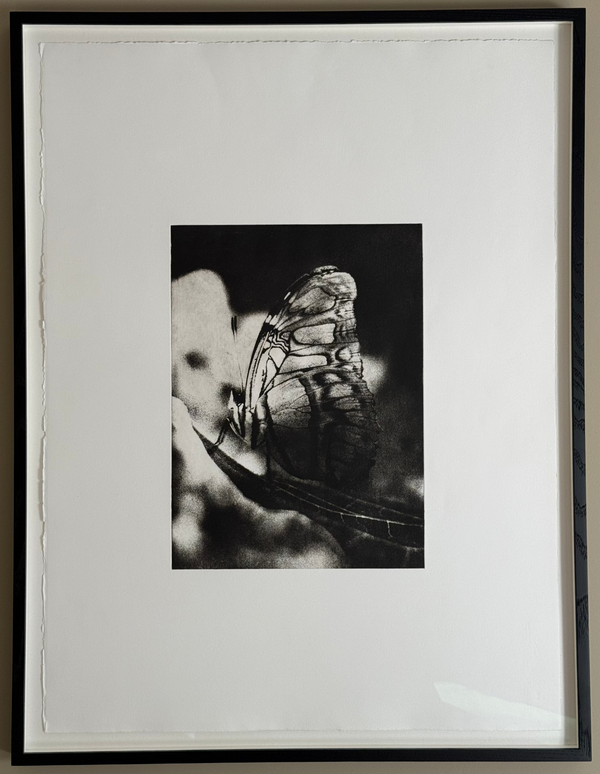 Wondering People_Malachite_3