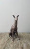 Wondering People_Large Rustic Hound I_2