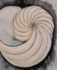 Wondering People_Expanding_1