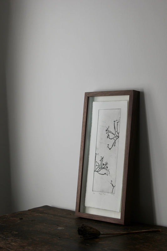 Wondering People_Shaggy Strap Lichen_16