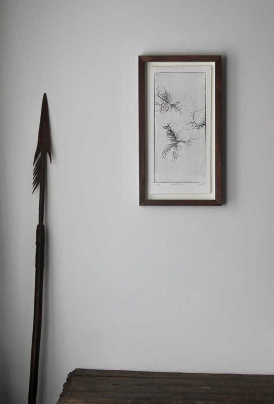 Wondering People_Beard Lichen_3