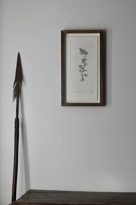 Wondering People_Reindeer Moss_1