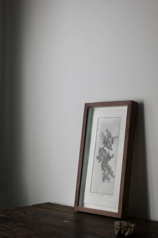 Wondering People_Tree Lungwort_2