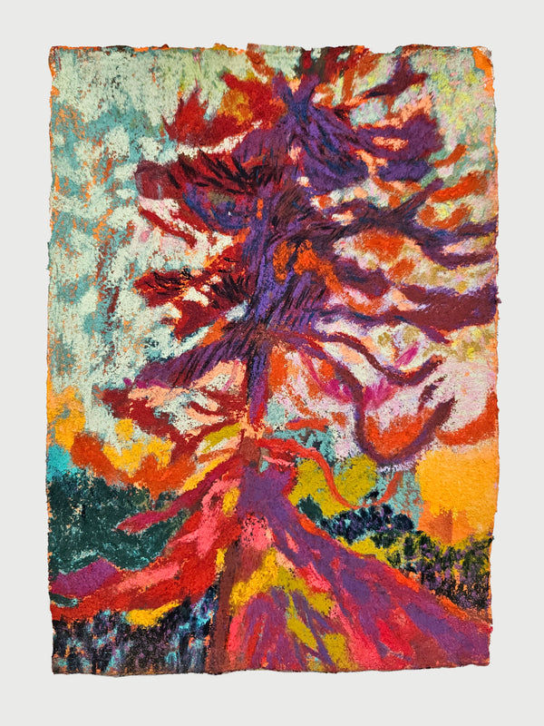 Wondering People_Impression Of A Pine Tree_2