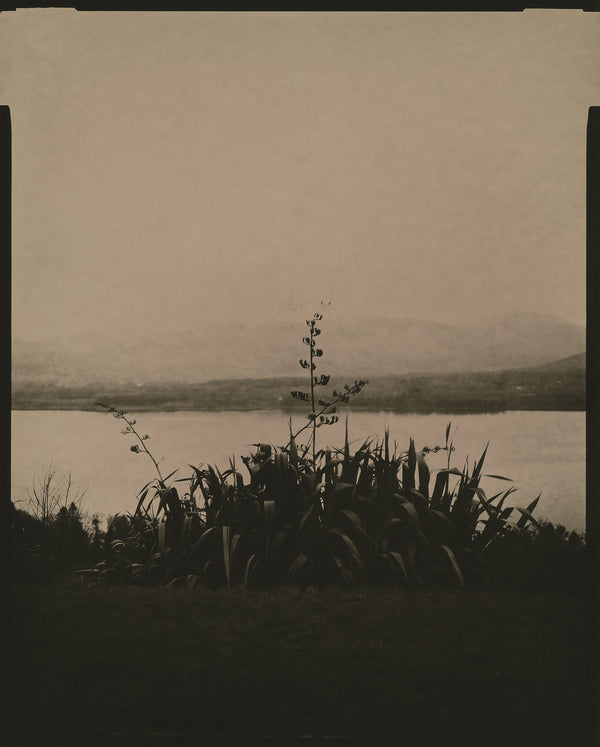 Wondering People_Black Water View_6