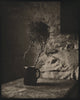 Wondering People_Bush & Jug_1