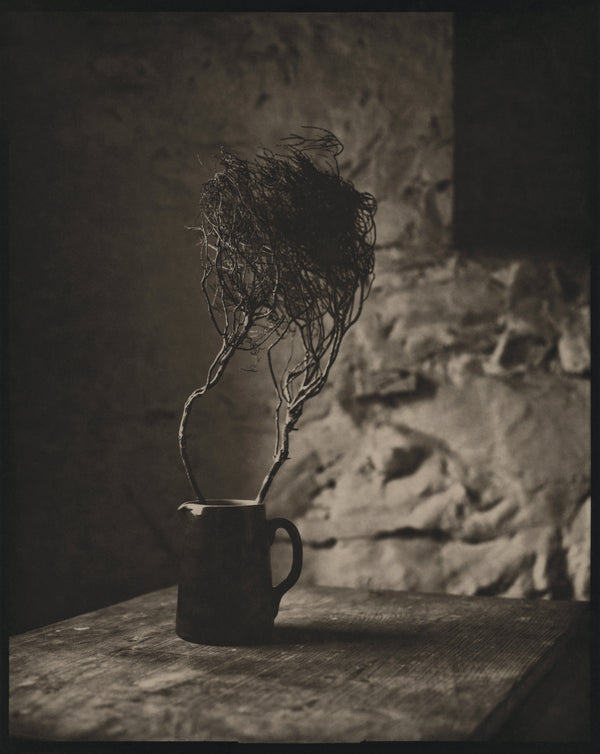 Wondering People_Bush & Jug_5