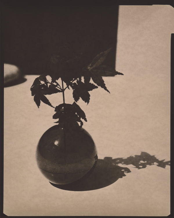 Wondering People_Still Life with Vase and Acer_7