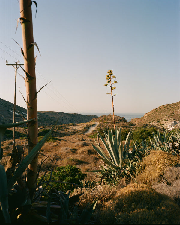 Wondering People_Line Man_15