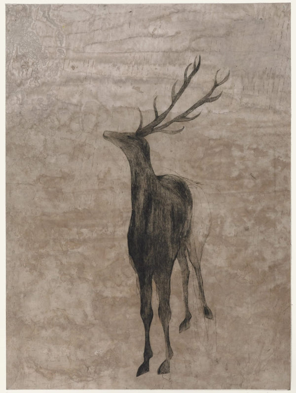 Wondering People_Lola Montez _1