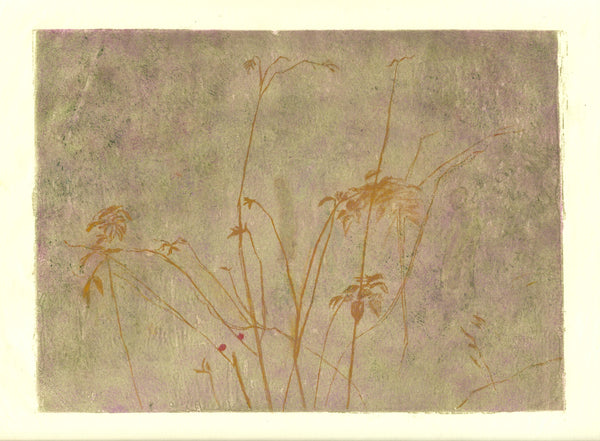 Wondering People_Peckham Rye Rose_5