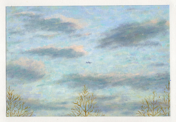 Wondering People_Plane Over Brooklyn_30