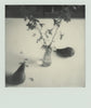 Wondering People_Polaroid #1_2