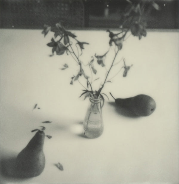 Wondering People_Polaroid #1_1