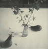 Wondering People_Polaroid #1_1