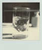 Wondering People_Polaroid #2_2