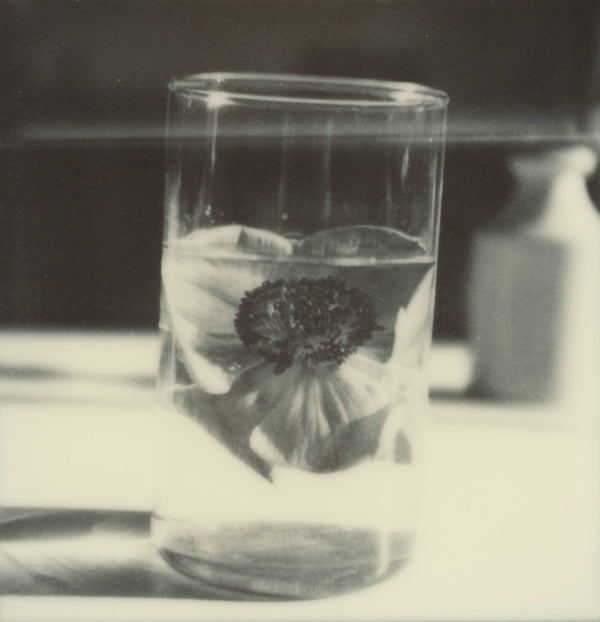 Wondering People_Polaroid #2_2