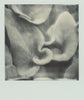 Wondering People_Polaroid #3_2