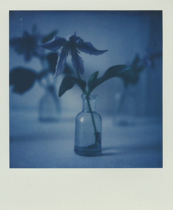 Wondering People_Polaroid III_3