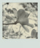 Wondering People_Polaroid #4_2