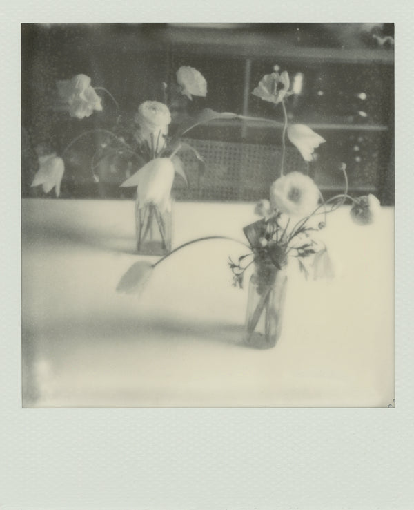 Wondering People_Polaroid IV_4