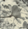 Wondering People_Polaroid #4_1