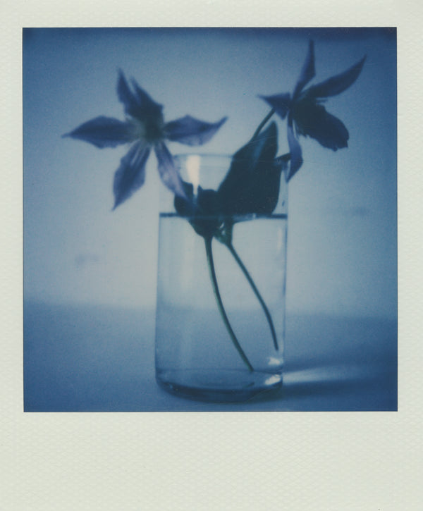 Wondering People_Polaroid VI_6