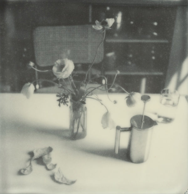 Wondering People_Polaroid #6_6