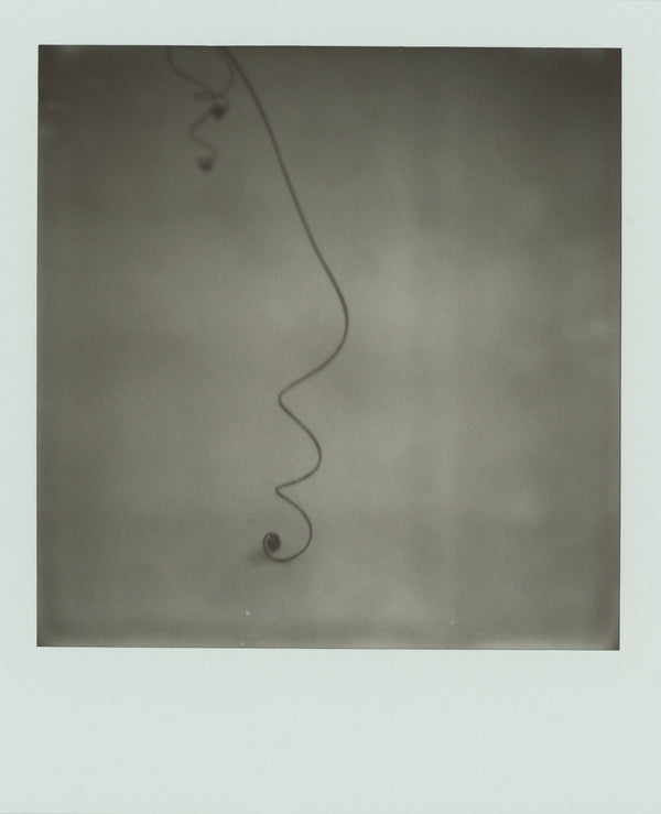 Wondering People_Polaroid VII_7